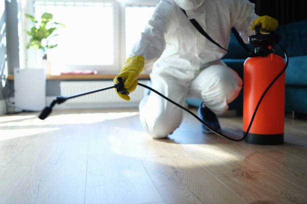 Reliable Sewage Cleanup contractor in Harrison, ID by Dulley Family Biohazard Services